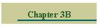 Chapter 3B